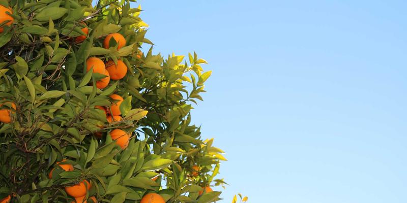 专业物业管理如何提升居住品质?深度解析维修与安保服务的核心价值