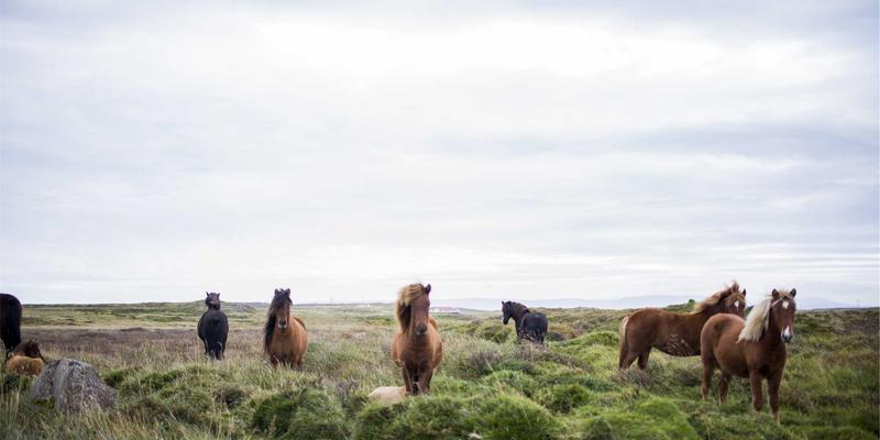 商业综合体物业管理核心：租户管理与多元业态协调中的清洁、家政与安保服务