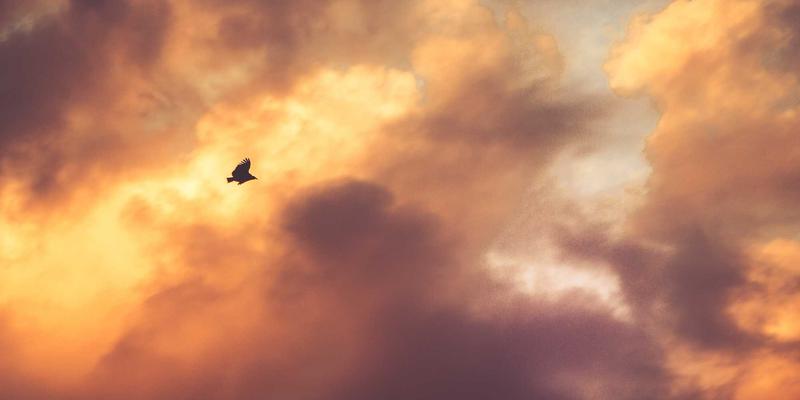 智慧物业管理新篇章:安保、维修、家政服务如何重塑现代社区生活