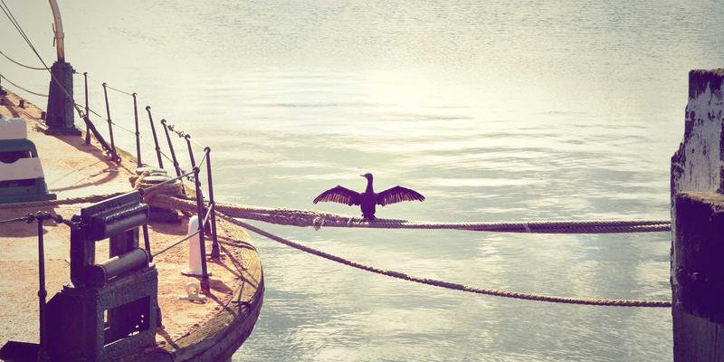 物业管理98：解析美家物业如何以清洁与安保服务构建卓越居住体验