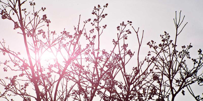 物业管理如何赋能社区养老：从清洁服务、绿化养护到适老化改造的整合探索