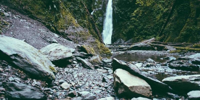 物业管理新蓝海：以绿化养护与家政服务撬动社区经济，打造多元化收入模式