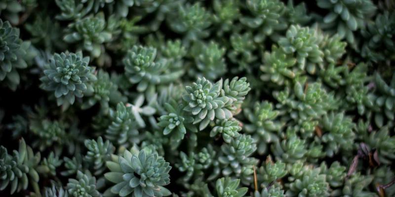 物业管理案例分析：从清洁、安保到家政，如何通过精细化服务提升社区价值