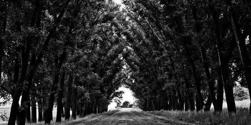 物业管理项目投标全流程制胜策略：从方案撰写、成本测算到答辩实战