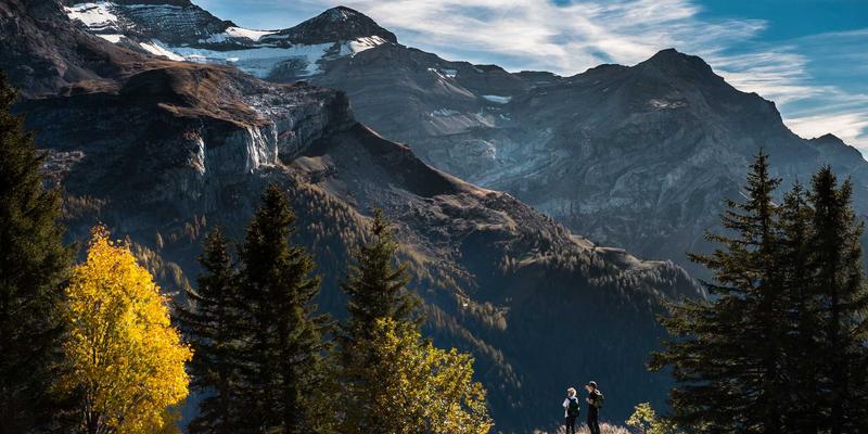 筑牢安全防线：物业应急管理体系建设中绿化养护与安保服务的协同作用