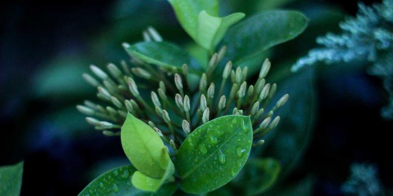 筑牢安全防线：物业管理如何通过维修、安保、清洁服务应对台风暴雨