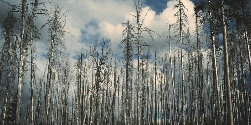 美家物业：专业化解邻里纠纷的三大法宝——调解流程、法律依据与沟通技巧