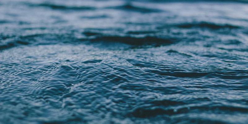 美家物业：以LEED认证引领写字楼绿化养护与可持续物业管理新实践