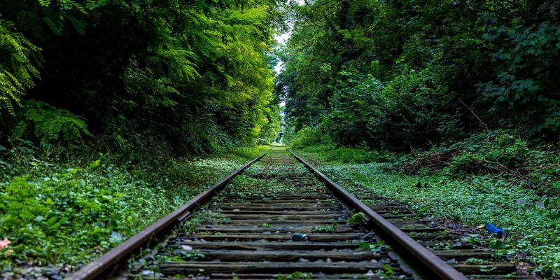 美家物业：工程设备全生命周期管理如何提升绿化养护与物业价值