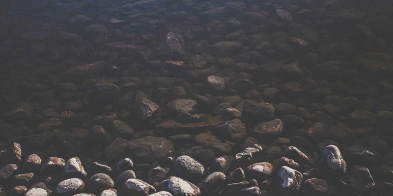 高端住宅管家式服务全解析：家政、维修、安保如何重塑奢华生活体验